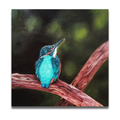 Kingfisher I and Kingfisher II (Duo)