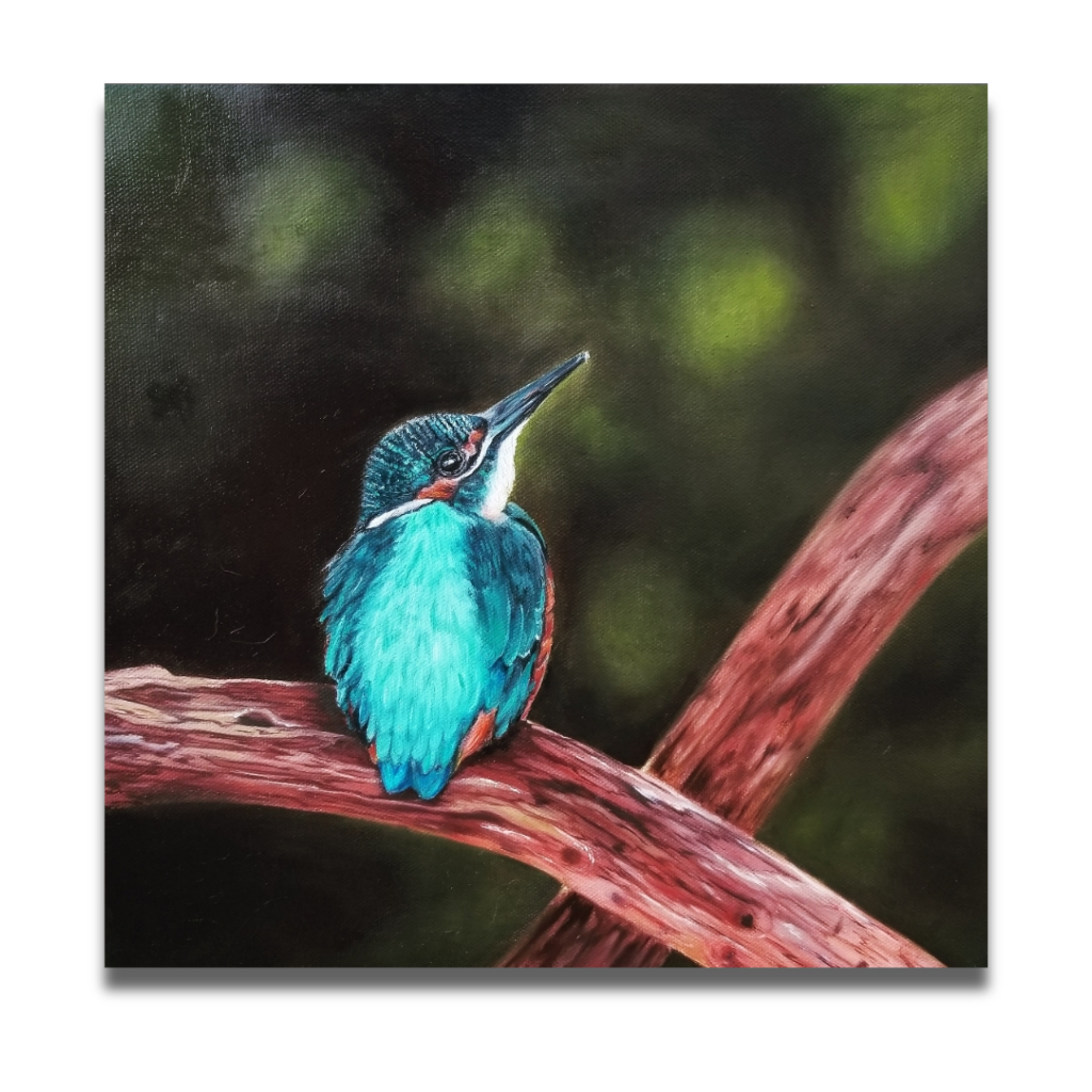 Kingfisher I and Kingfisher II (Duo)
