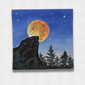 The Moon