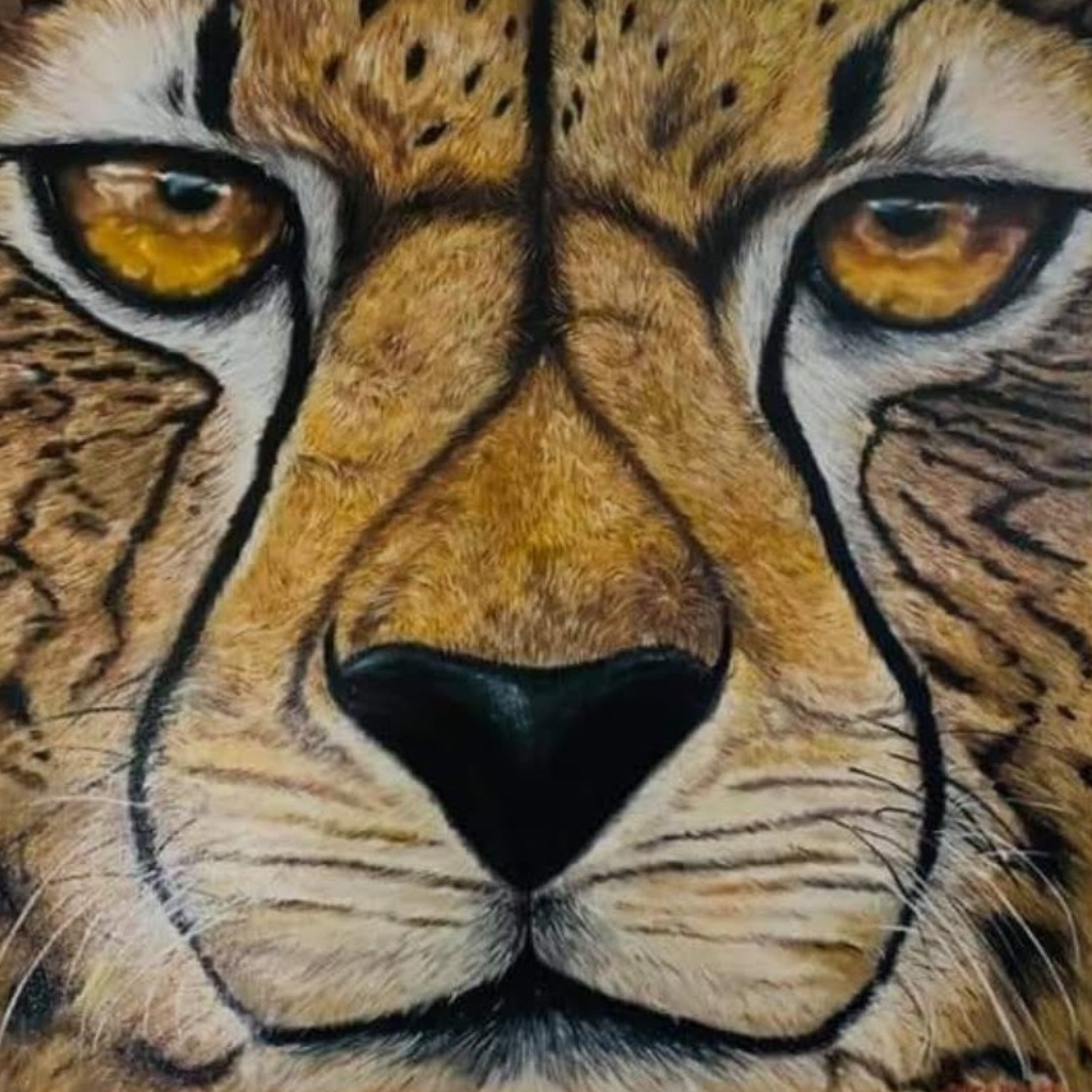 Cheetah